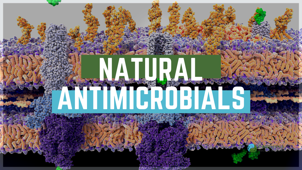 Seven Natural Antimicrobials Before an Antibiotic Prescription